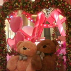 cindyyea1102