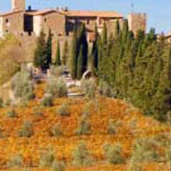 banfi