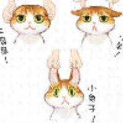 party哈皮