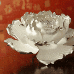蜜蜂虾