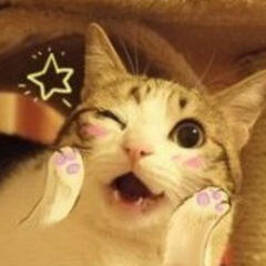 骗zi
