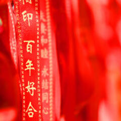 dyhualin