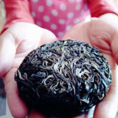 一念之茶余饭后