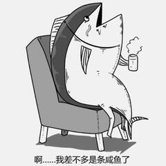 肥肥2780