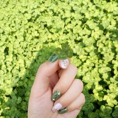 暮歌荏苒