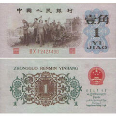 绿洲苗木