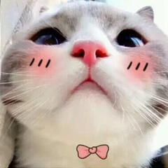 Kummy