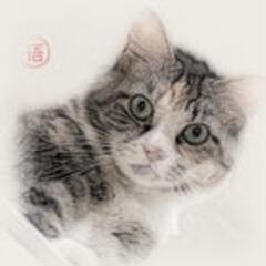 达兹曼
