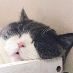 咕