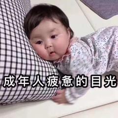 冰雁vi