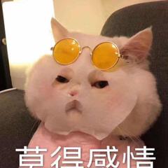 A啊美美的夏夏