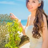 晨曦012