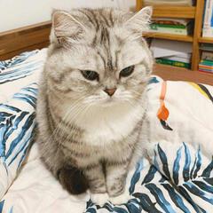 又染光年