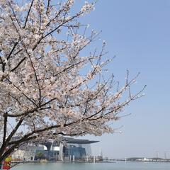 空白空白空白白