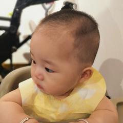 一本正静