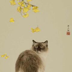 翠华香扑水光摇