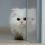 灬✿糖♡末✿灬