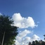 海之魄
