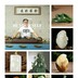 玉见杨阔