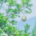 我们都是珠宝控