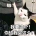 姬小白