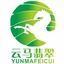 ymfc8173