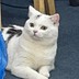太阳太大会刺眼