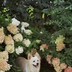 乐钰钰