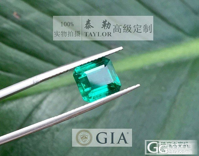 已秒售出【8.4日GIA证书极品F1级别祖母绿3.1ct】