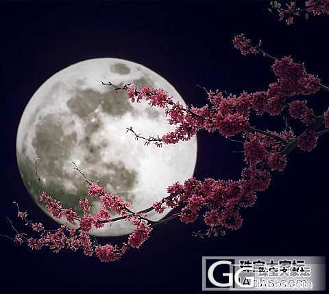 “春江花夜月”——高冰绿花手镯芯_翡翠