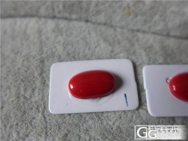 三千世界---特红momo蛋面两个_三千世界
