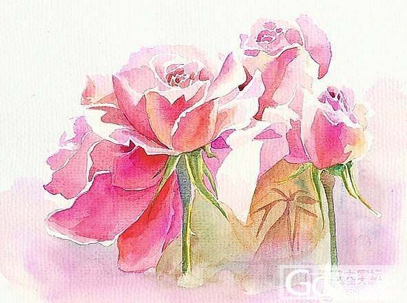 《广广的十二花神记》五月花神——玫瑰_闲聊