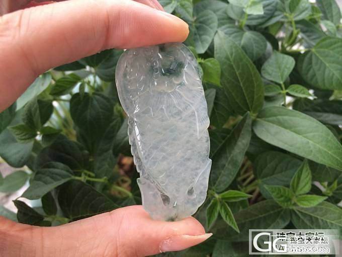 大件飘绿佛公,还有独占鳌头!有没有喜欢的?_翡翠