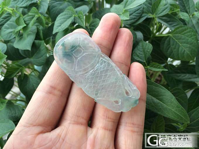 大件飘绿佛公,还有独占鳌头!有没有喜欢的?_翡翠