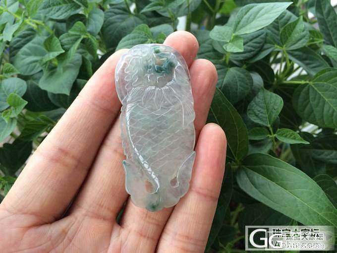 大件飘绿佛公,还有独占鳌头!有没有喜欢的?_翡翠