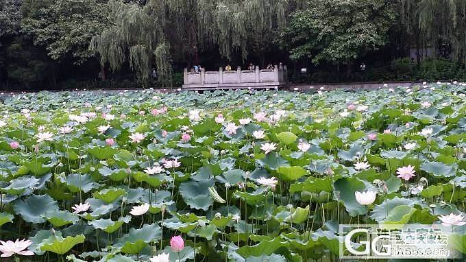 秀麻花，秀麻花～～～～～～～_手镯银