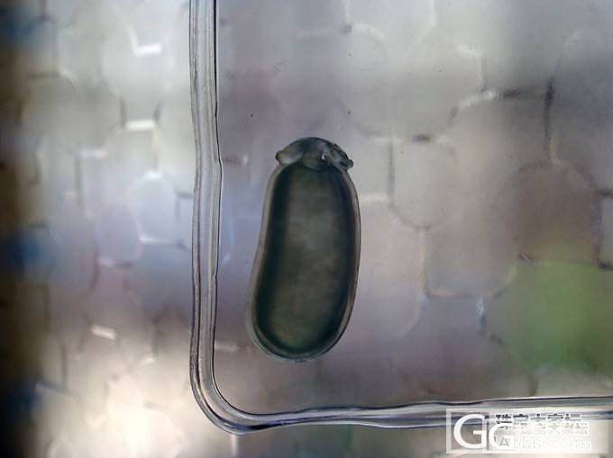 【雅彤翡翠】新货上架欢迎收藏小店_翡翠