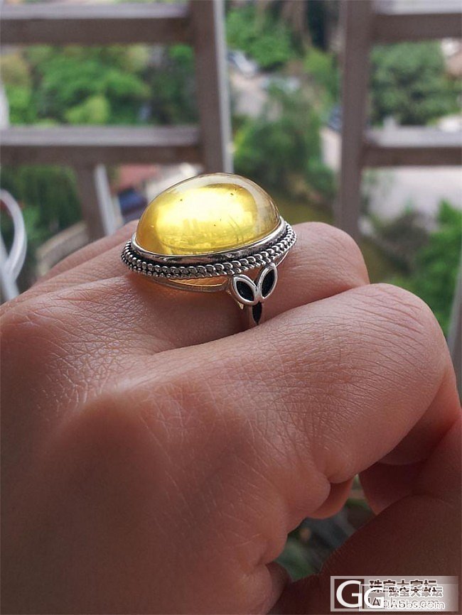 3只琥珀戒指+1只白蜜戒指，大戒面、便宜出……_有机宝石