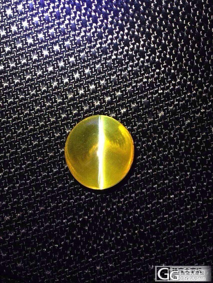 12克拉honey小猫，特精神_金绿宝石