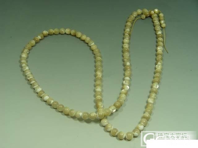 1200  能买吗  砗磲  这是黄岩岛的吗   白的好还是黄的好啊_砗磲