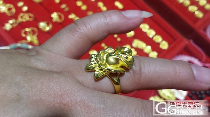 终于去了紫锦城（逢闪必回）_金