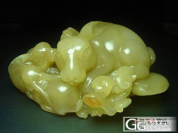 玩物哟_黄龙玉