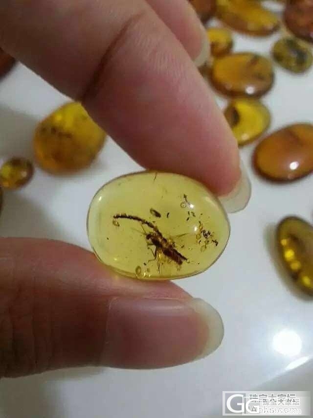 几个月前迷上了虫珀，前几天搞了点虫珀，今天到了。_虫珀