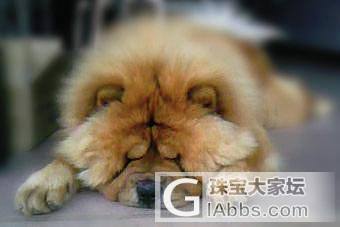 没有遗憾的云南之行(图片)_云南摄影