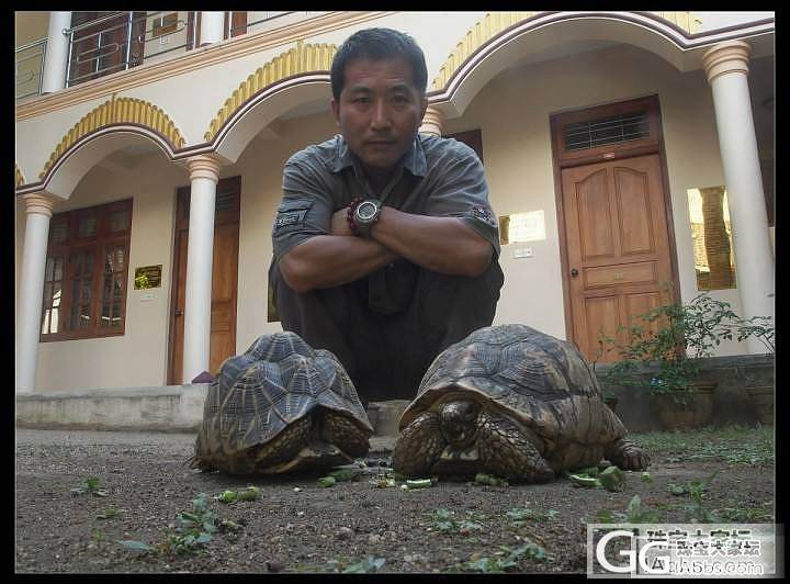 兰卡的微笑-一个人的旅程_斯里兰卡旅游摄影