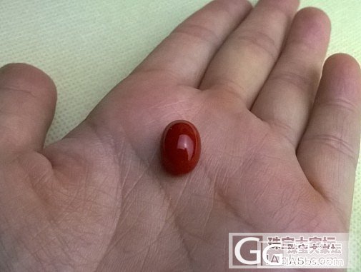 新收的个1g+蛋面  大家帮忙看看 镶嵌什么款式好_珊瑚