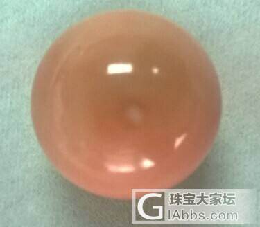 MOMO珊瑚，求鉴赏求鉴定_珊瑚