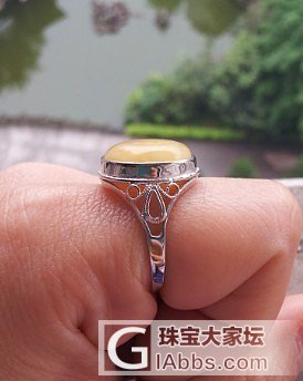 925银琥珀戒指200元2只；新增两只琥珀戒指；99银镶翡翠戒指、油青翡翠片料、..._珠宝