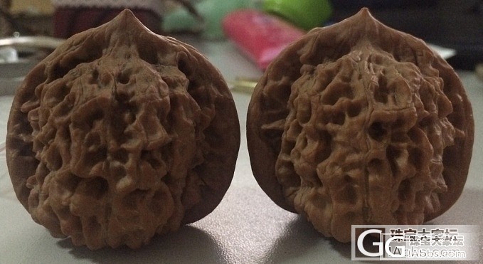 新开的核桃，我刷我刷我刷刷刷_核桃