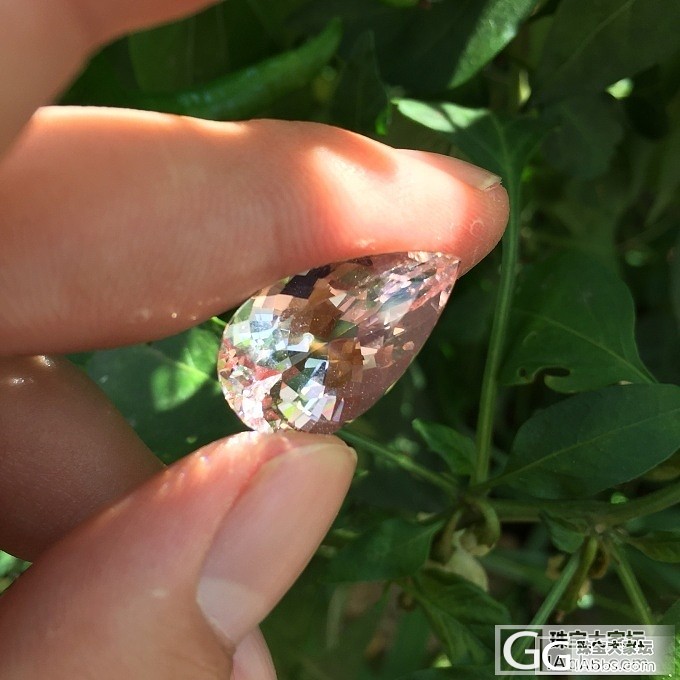 小菜园里拍的闪闪发亮的摩根，巴西切工_刻面宝石摩根石